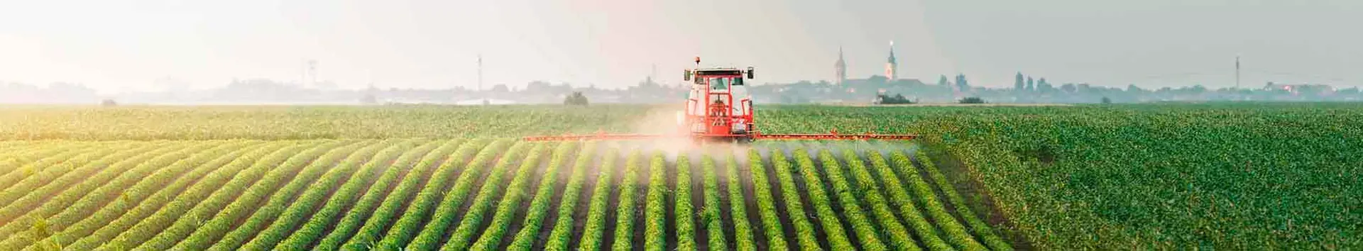 Agriculture, horticulture, élevage et pêche