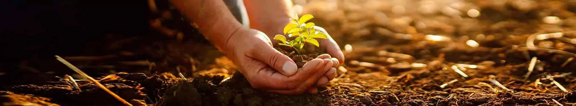 Land, sea, the environment & nature conservation