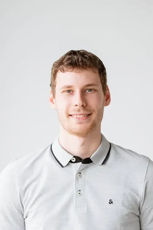 image Dylan